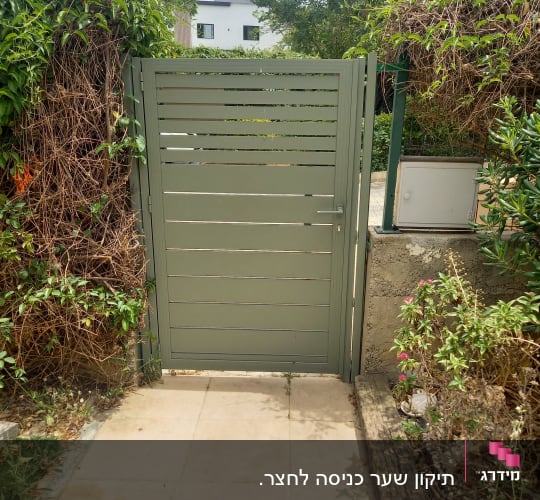 שער מתכת ירוק עם צמחייה מסביב